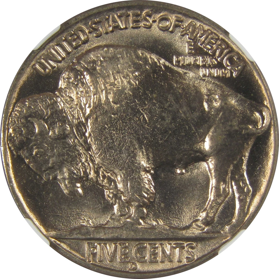 1937 D Indian Head Buffalo Nickel MS 65 NGC Bag Fragment SKU:I22647 - Image 4 of 4