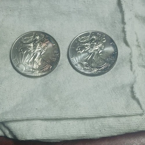 2 American Eagle Uncirculated Silver Dollar Bullion Coins With Slight Toning