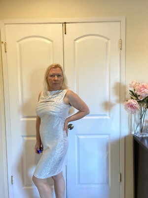 NWT Just Cavalli by Roberto Cavalli Elegant Silver Sleeveless Dress, Size Large