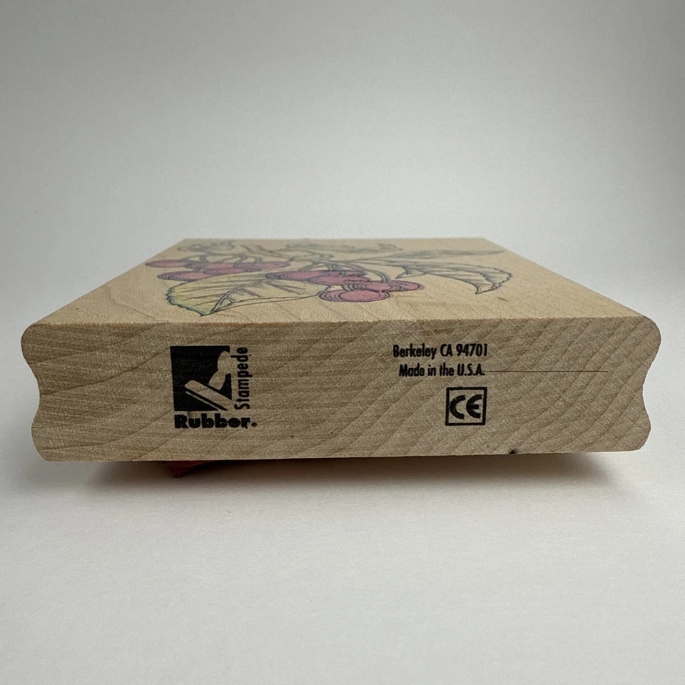 Резиновый штамп Stampede Cherry Branch A1587H для цветов и растений дерево резина 3 дюйма x 3,5 дюйма - Изображение 4 из 4