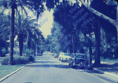 1956 35mm Slide Residential Street Gainesville Florida #12446
