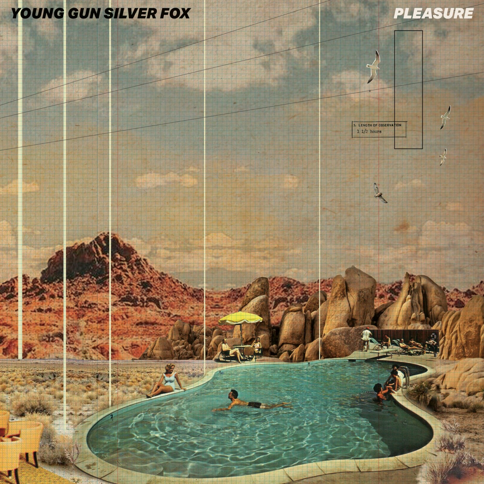 young gun silver fox Pleasure (Vinyl LP)