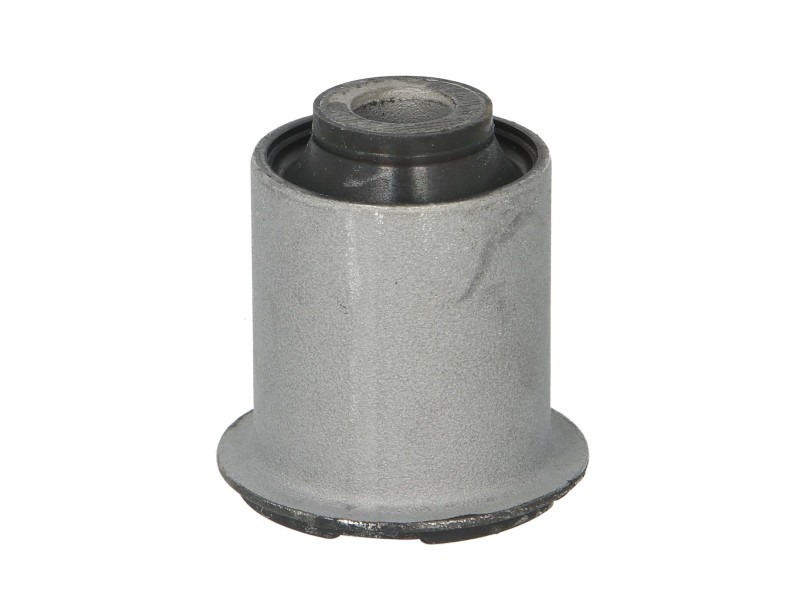 Picture 1