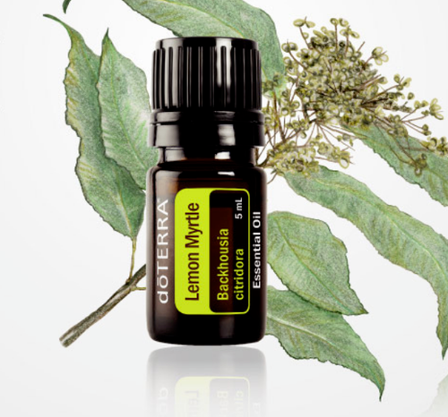 DoTERRA 100% Pure Therapeutic Grade Essential Oils Bulk listing See specials* - Picture 103 of 104