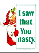 Santa I saw that You nasty funny Metal Fridge Magnet 3x4 7267