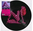 Madonna Confessions 2 GRINDR Exclusive Picture Disc 12 Song Mix Preorder