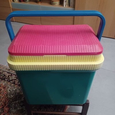 GIOSTYLE Multicolor Portable Hard Fridge