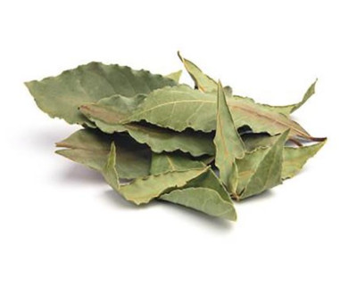 Hoja de Aguacate Avocado Leaves Persea Americana 4 oz dried herb