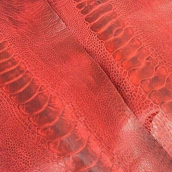 5 Ostrich legs Leather Scarlet Red GL Colors G.B (%100 Natural Genuine Hide)  - Image 2 of 4