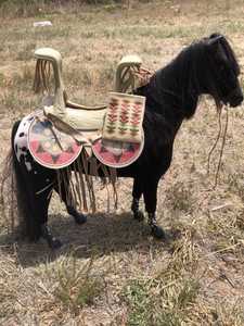 american girl kaya saddle