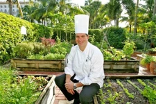 SURVIVE IN STYLE CULINARY GARDEN KIT 20 VARIETIES ALL HEIRLOOM SEEDS NON-GMO