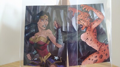 Bam! Geek Crate Wonder Woman & Cheetah Limited Sketch Print