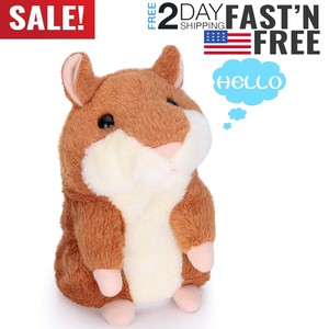 cheeky hamster zaroe