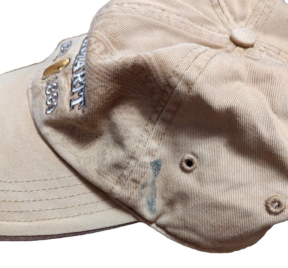 Gorra de bola Carhartt bordada marrón ajustable espalda a presión talla única usada en excelente estado Foto 4 de 4