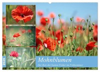 Thomas Deter | Mohnblumen (Wandkalender 2026 DIN A2 Quer), Calvendo...