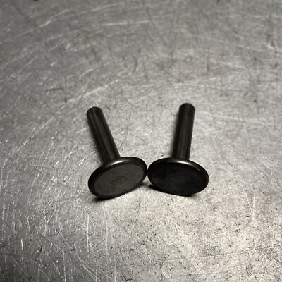 #ad OEM GOOD USED BRIGGS 3.75HP 9L902 0305 E1 VALVE TAPPETS 2 691762 $8.99