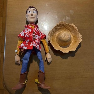 Hawaiian Woody | eBay