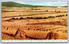 Vintage Washington Big Bend Wheat Fields Postcard 1944 WWII Era