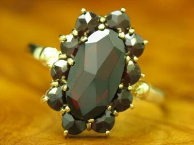 8kt 333 Gelbgold Ring mit 5,48ct Granat Cluster Besatz / 3,0g / RG 62 - Bild 1 von 4