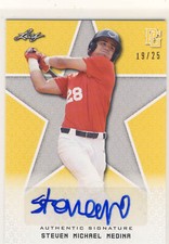STEVEN MICHAEL MEDINA 2020 Leaf Perfect Game PG Yellow AUTO /25 PALM BEACH ST