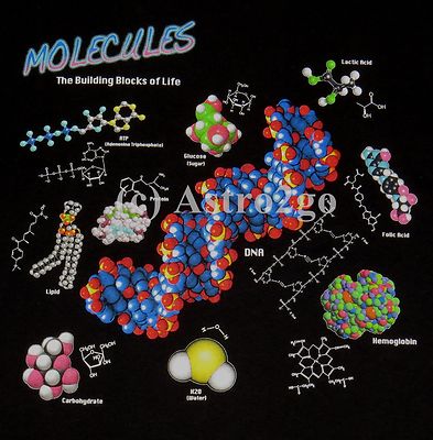 MOLECULES-Chemistry Biology Life Science DNA H2O CO2 Caffeine 2sided Tshirt S,3X
