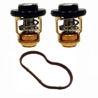 Genuine 115HP 135HP 150HP Honda Thermostat & Seal Kit BF115D 135 BF150A Outboard