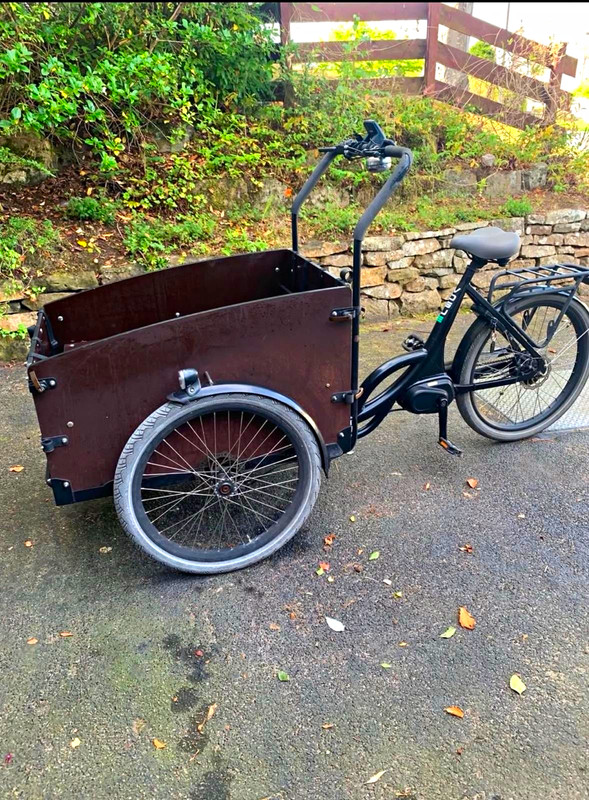 Vogue Supreme Cargo Bike