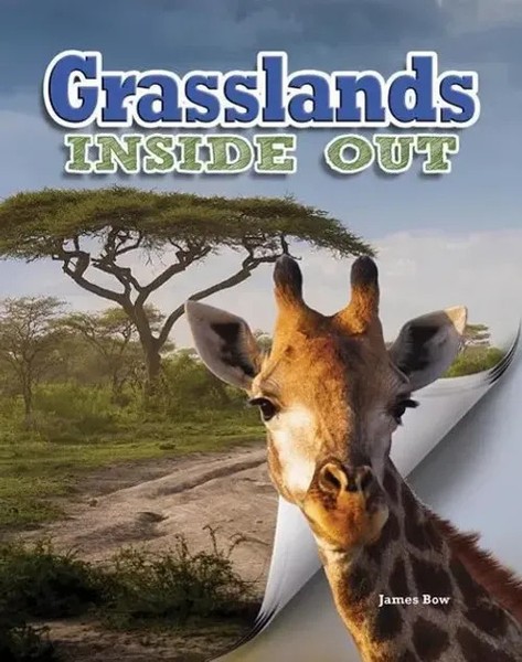 James Bow | Grasslands | Taschenbuch | Englisch (2014) | Ecosystems Inside Out-image