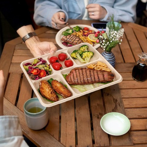 100% Compostable 5 Compartment Paper Plates, 125 Pack Heavy Duty Disposable Scho - Picture 19 of 24