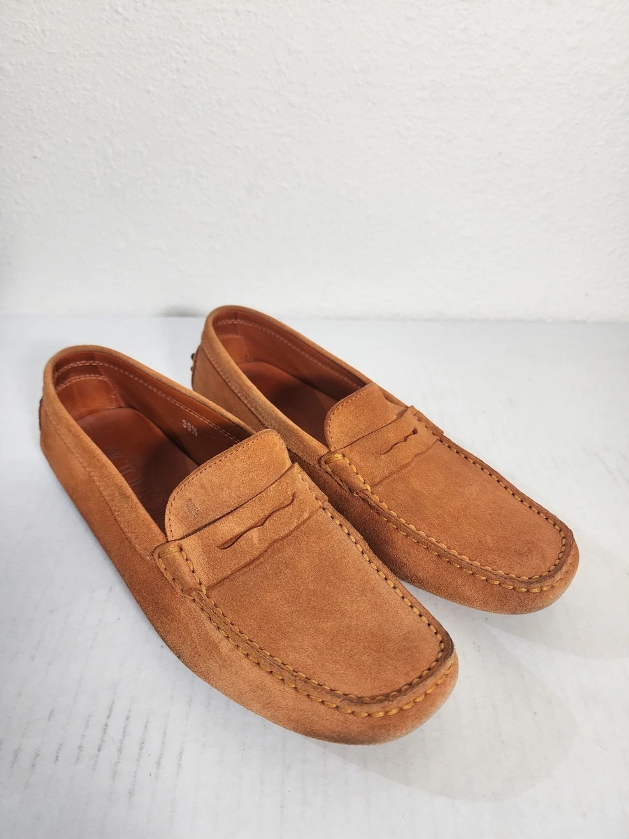 Brown Tod display picture 1