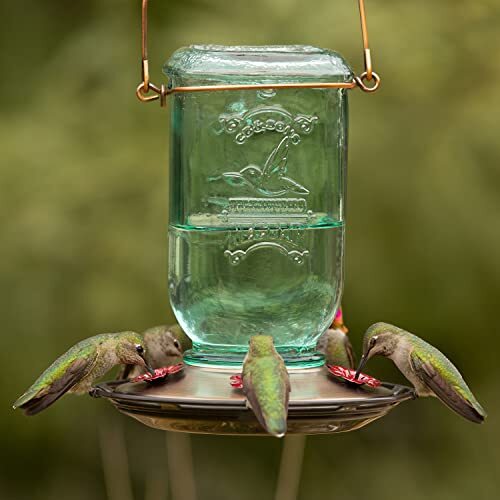 Alimentador de colibríes Mason Jar, comederos de vidrio para colibríes para exteriores, 5 feeds... - Imagen 3 de 3