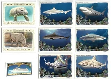 Blacktip Shark 2021 Topps Allen & Ginter Deep Sea Shiver Fish #DSS-8