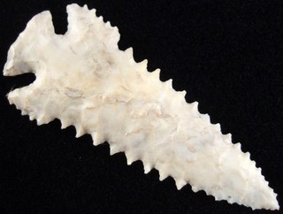 Exceptionally Fine Serrated Ohio Flintridge Pine Tree Point with COA Arrowheads