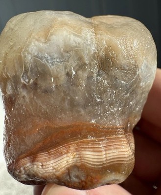 Large Lake Superior Agate - Tooth   Shaped Red White Mint Candy   5.97 Ounces