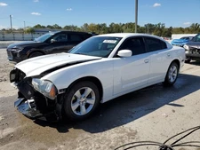 Seat Belt Front Bucket Seat Passenger Retractor Fits 11-23 300 5291314