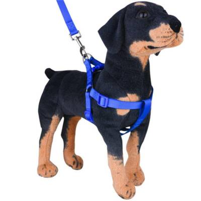 dog harness accessories