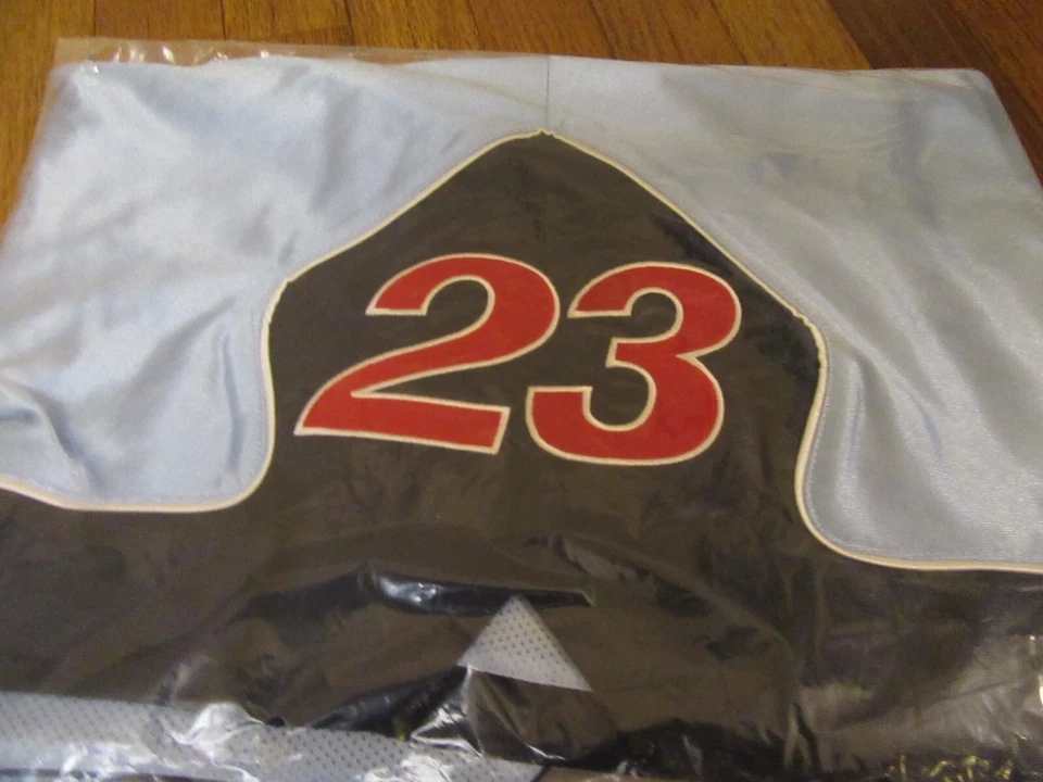 Pantalones Cortos de Calentamiento Supreme Jordan Talla XL Azul Claro FW24 Supreme New York 2024 Nuevos Foto 3 de 4