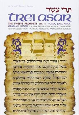 [Tere asar] =: Trei asar : The twelve prophets : a new translation with a - GOOD
