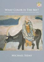 Michael Siems | What Color Is The Sky? | Taschenbuch | Englisch (2010)