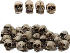 40Pcs Mini Skulls Figurine Skeleton Head Miniatures,Tiny Resin Skulls for Crafts