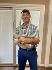 Nice Perfect 123” Wild 8 pointer Whitetail Deer Antler  Horn European skull shed — photo 6