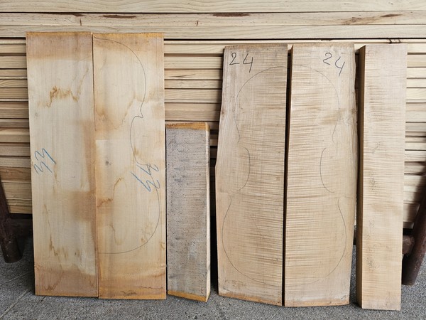 Tonholz Tonewood