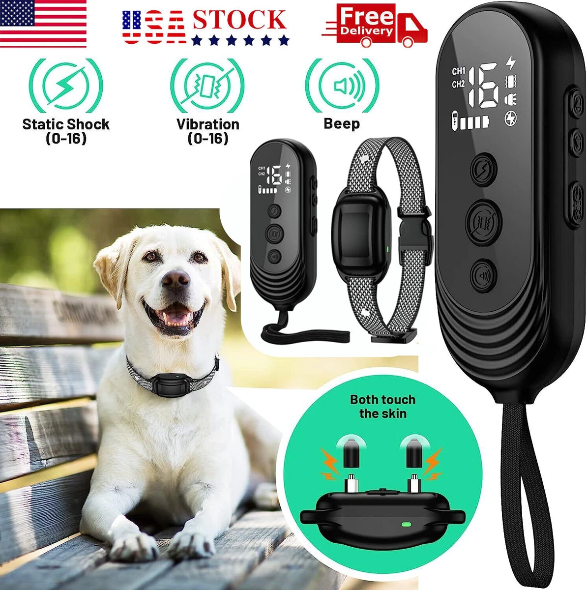 Best dog hotsell shock training collar