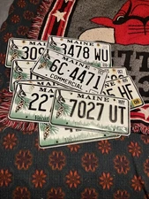 Maine Chickadee ￼ license plate with RANDOM Number LETER  ( Sold As Is)