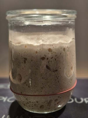 Lievito Madre Sauerteig, Anstellgut, Sehr Triebstarker Starter