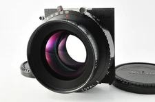 [ MINT / Cap ] Nikon Nikkor-W 240mm F5.6 COPAL3 Large format Camera lens JAPAN