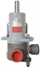 SPX FIP25SI-BSP62M01P80 Johnson Pump