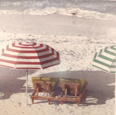 Lounging At The Beach Seashore Scene Absorba Stone 4PC Drink Coaster Set NIB