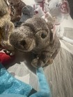 Bild 7 von 11