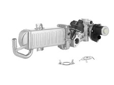 AGR-Modul BorgWarner (Wahler) 710861D/1 für VW CADDY 3 Großraumlimousine 2KA 2KH